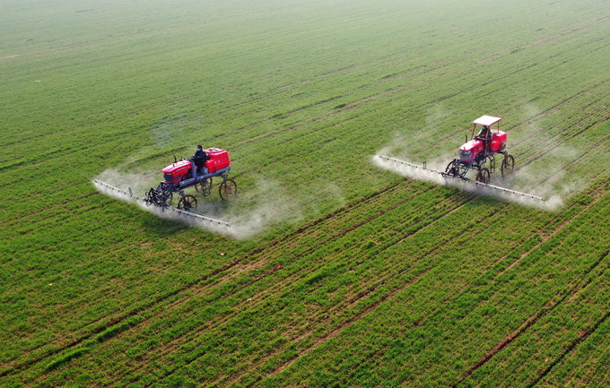 "农业芯片"卡脖子,中国种业如何变局?