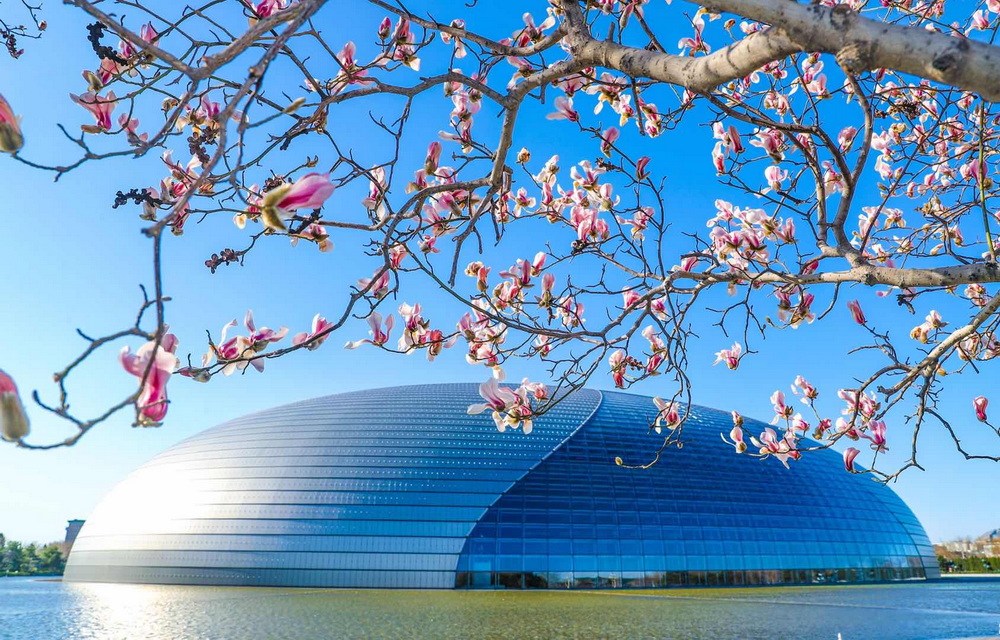 国家大剧院艺术家共同倡议 珍爱表演艺术 发挥示范引领 京报网