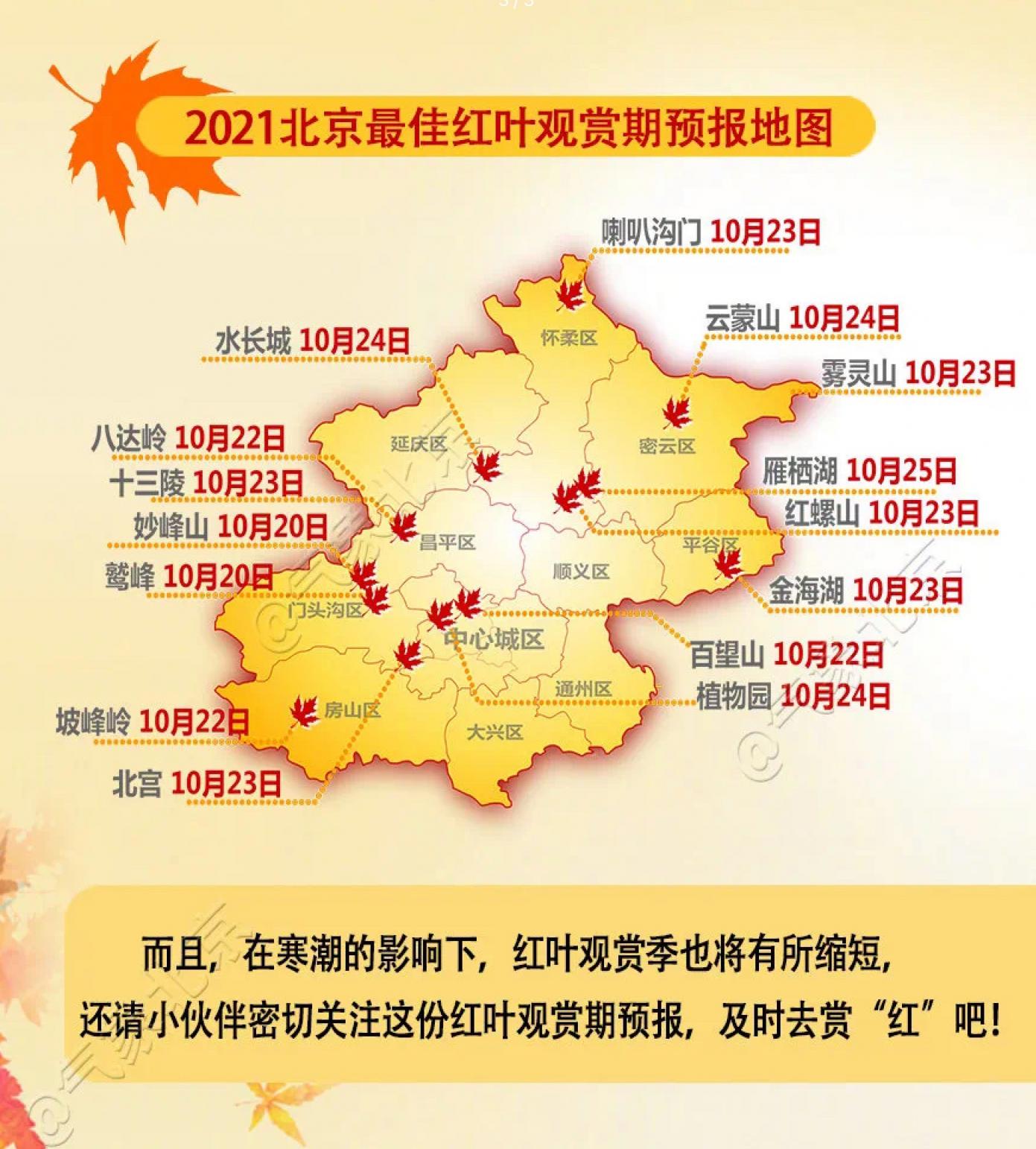 北京今年多雨红叶最佳观赏期缩短赶紧收好这份时间表